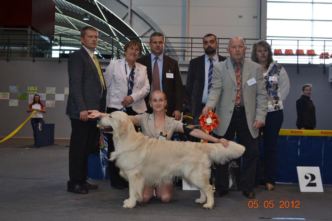 TALSI DOG SHOW (Latvia)            BIS - 1 !!!