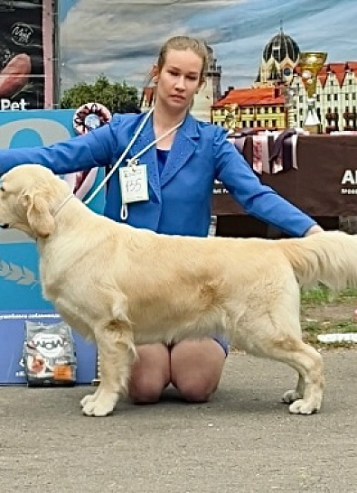 Национальная выставка собак всех пород