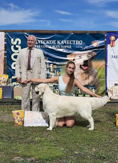 Национальная выставка собак всех пород 