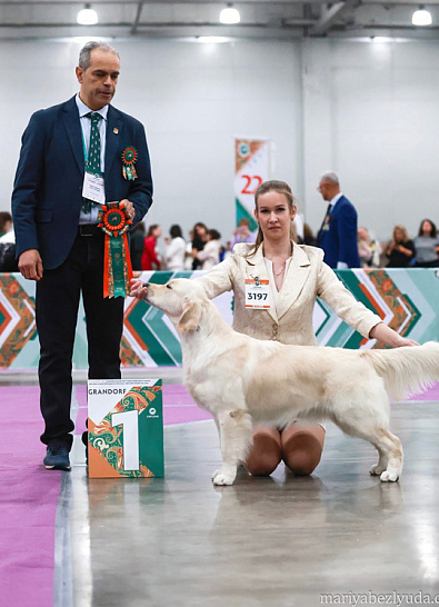 Евразия, Кубок СНГ, г. Москва