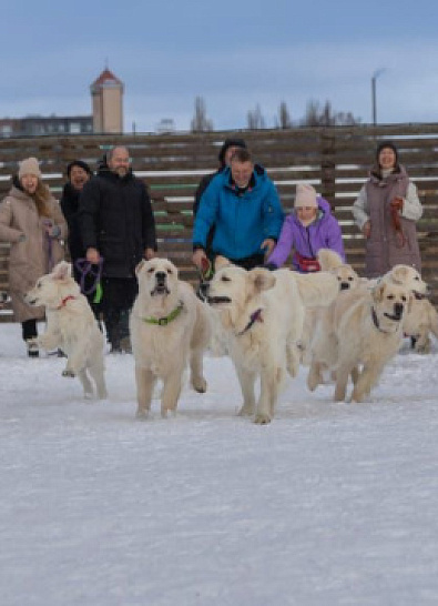 Встреча выпускников питомника