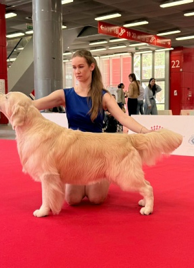 WDS Bologna 2026 and Club Show