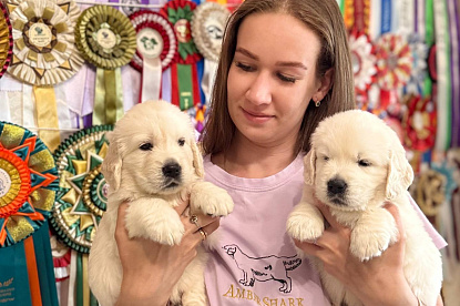  В нашем питомнике «Амбершарк» — долгожданное пополнение! 🍼_2