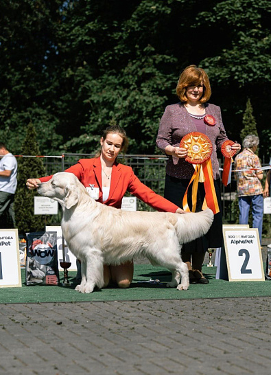 Национальная выставка собак всех пород 1