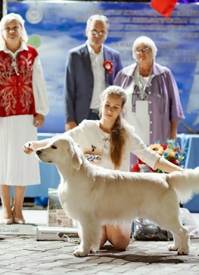 Рейтинговые выставки Калининград