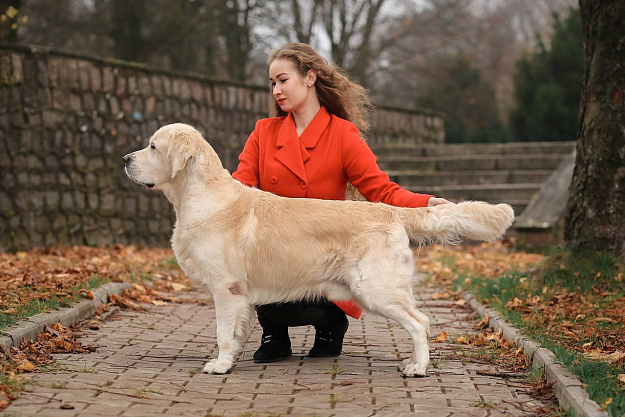 Фото Кевин стойка