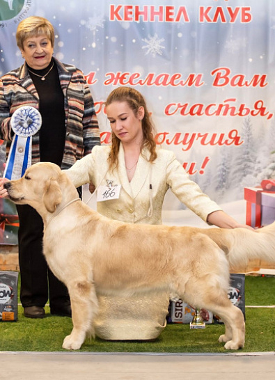 Национальная выставка собак всех пород