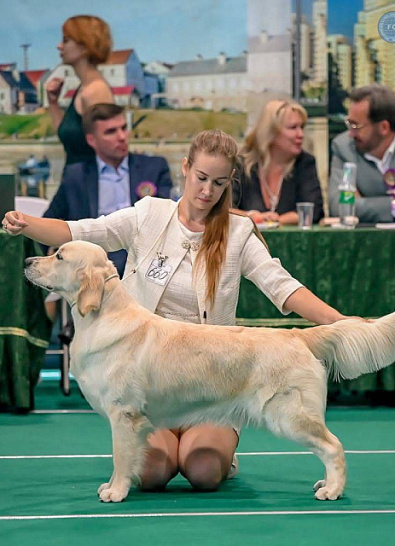 Национальная выставка собак всех пород