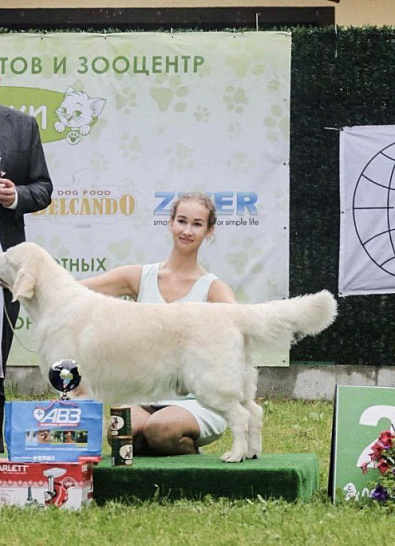Национальная выставка собак всех пород 