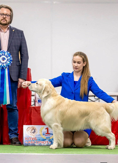 Национальная выставка собак всех пород г. Калининград