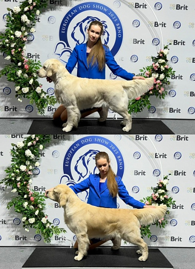 National Dog Show Brno pre EDS