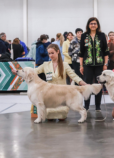 Евразия, Кубок Президента РКФ, г. Москва