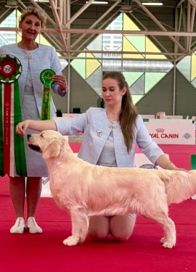 ENCI WINNER BOLOGNA ITALY 2026