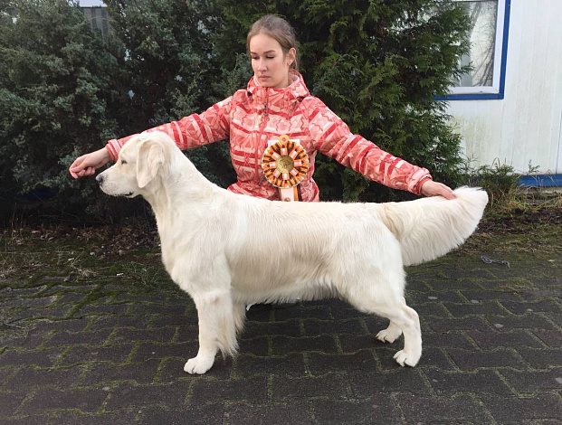 Фото Дейзи стойка